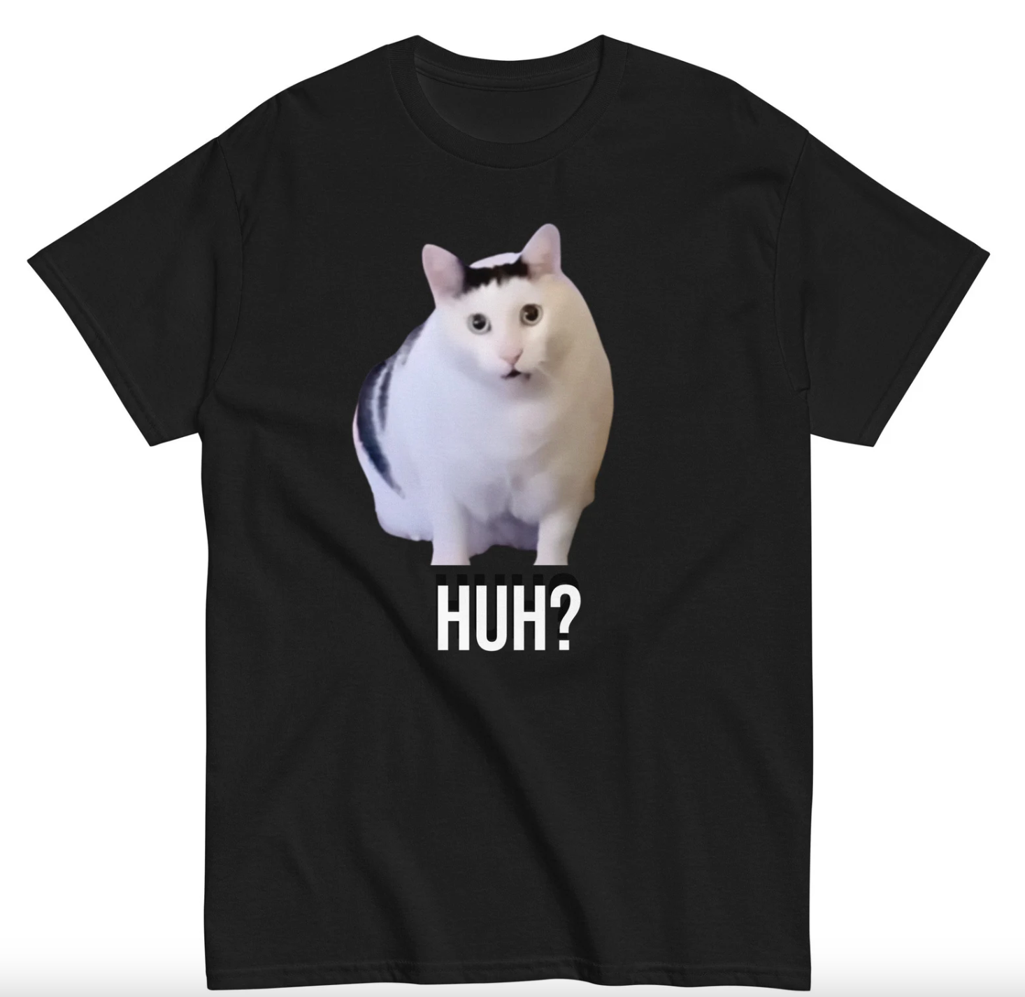 Meme and Internet Culture