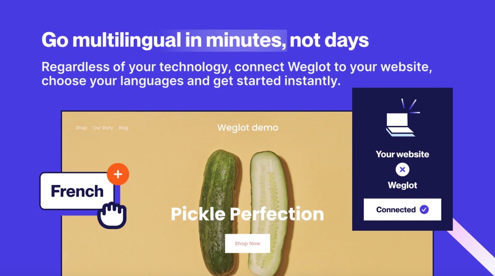 Weglot – Translate Your Store
